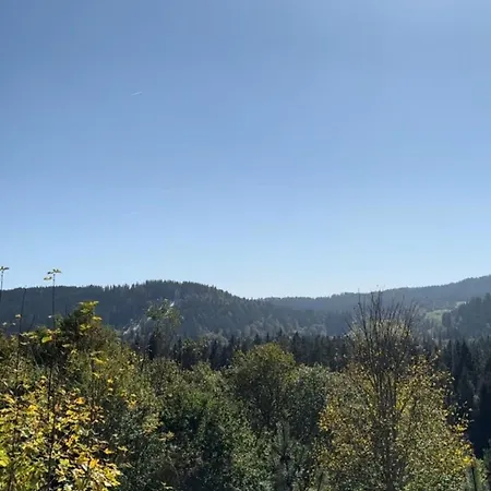 Stuub Szálloda Hinterzarten