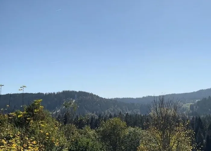 Stuub Hotel Hinterzarten